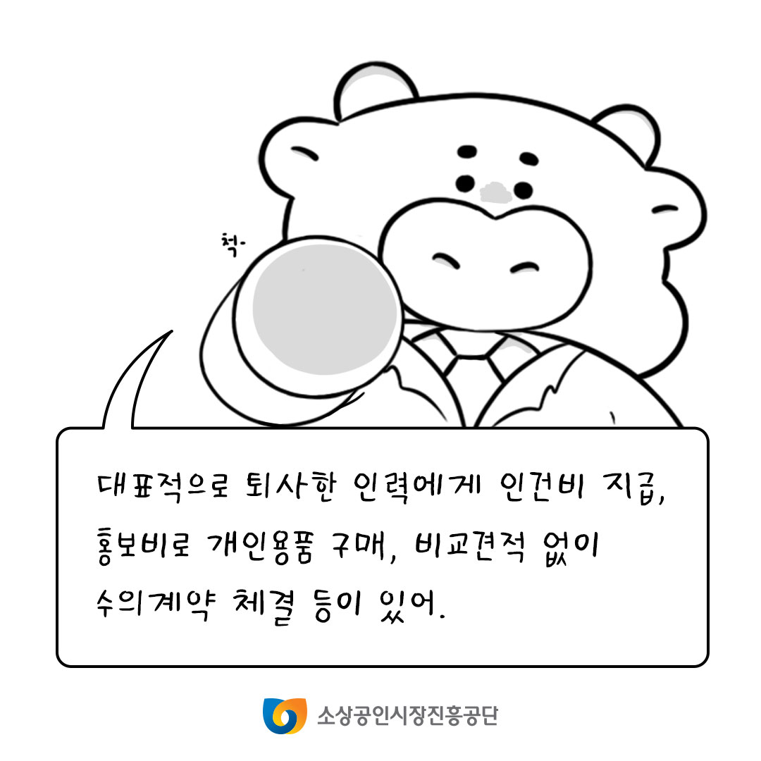 대표적으로 퇴사한 인력에게 인건비 지급, 홍보비로 개인용품 구매, 비교견적 없이 수의계약 체결 등이 있어.
